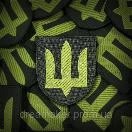 Шеврон сухопутные войска (вш-СВ)