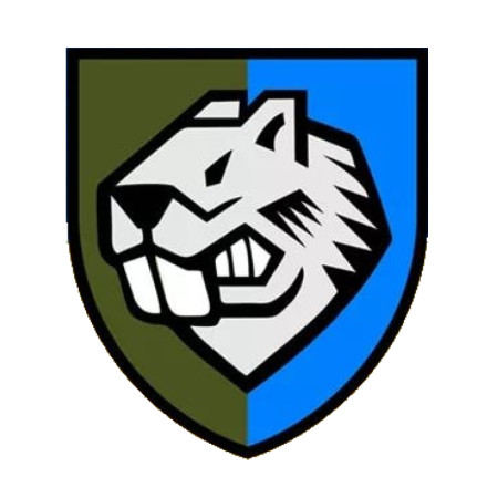 Шеврон злюка бобер 808 понтонно-мостовий полк (808 ПМП) (AN-12-1139)