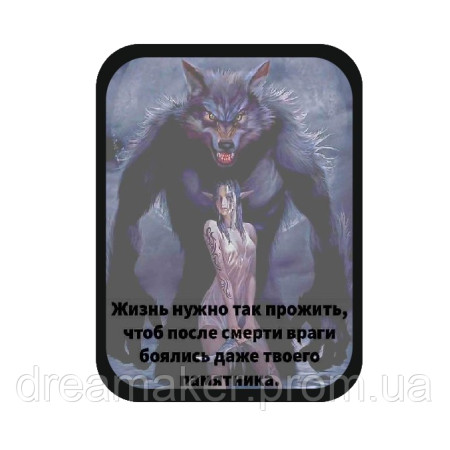 Шеврон Перевертень (AN-12-1141)