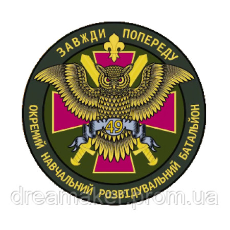 Шеврон 49 окремий навчальний розвідувальний батальйон (AN-12-1155)