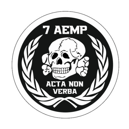 Шеврон череп 7 аэромобильная рота "acta non verba" (действия а не слова) (AN-12-1244)