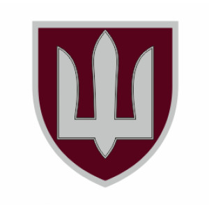 Шеврон ДШВ (AN-12-247-2). Photo 3