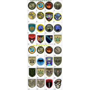 Шеврон "Военная разведка Украины" сова (AN-12-208-5). Photo 3