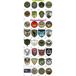 Шеврон "Военная разведка Украины" сова койот (AN-12-208-8). Photo 3