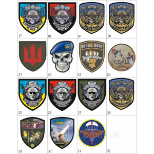 Шеврон флорк зенітник ППО (AN-12-1425). Photo 3