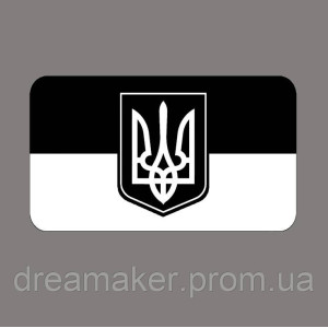 Шеврон флаг и тризуб Украины (AN-12-231-3)