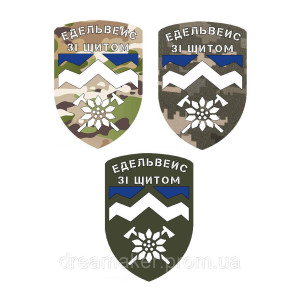 Шеврон 10 отдельная горно-штурмовая бригада Эдельвейс (10 ОГШБр) (AN-12-561-3). Photo 2