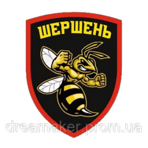 Шеврон "Боевой шершень" (AN-12-473-5)