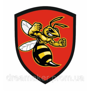 Шеврон "Боевой шершень" (AN-12-473-5). Photo 3