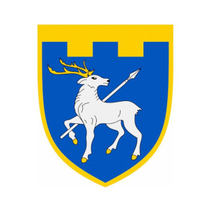 Шеврон 255 ПРО 123 окремої бригади ТРО (123 ОБр ТРО) (AN-12-1624). Photo 3