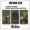Погоны все звания хищник Вооруженные силы Украины Погон (вш-3)