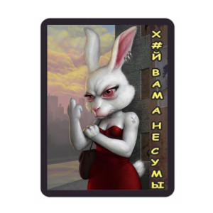 Шеврон "Х*й вам а не Сумы" (AN-12-333-2). Photo 2