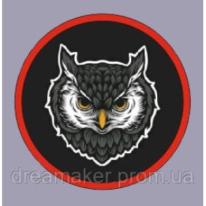 Шеврон СОВА (AN-12-642-3). Photo 2