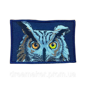 Шеврон СОВА (AN-12-642-3)