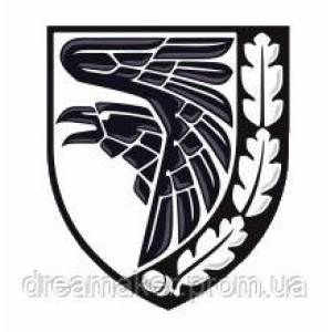 Шеврон 93 отдельная механизированная бригада 93 ОМБр "Холодный яр" Transierunt infernum (AN-12-499-32). Photo 2