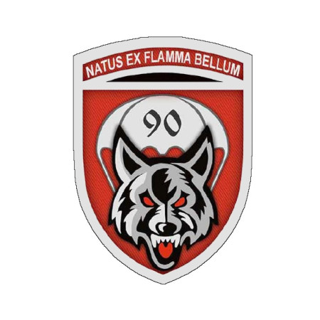 Шеврон ДШВ 90 Отдельный аэромобильный батальон 90 ОАЭМБ natus ex flamma bellum (AN-12-235-9)