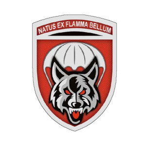 Шеврон ДШВ 90 Отдельный аэромобильный батальон 90 ОАЭМБ natus ex flamma bellum (AN-12-235-10)