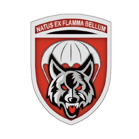 Шеврон ДШВ 90 Отдельный аэромобильный батальон 90 ОАЭМБ natus ex flamma bellum (AN-12-235-10)