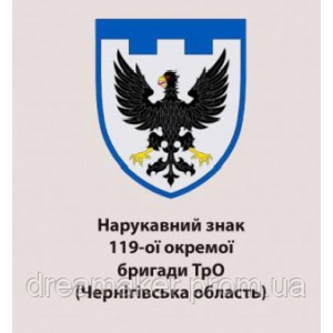 Шеврон 119-а окрема бригада ТрО Чернігівська область (119 ОБрТрВ) (AN-12-644-4). Photo 3