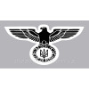 Шеврон орел с Тризубом Украины планка (AN-12-503-34)