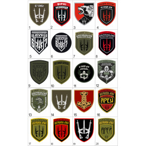 Шеврон 67 ОМБр ДУК ПС Правый сектор Добровольческий украинский корпус (AN-12-214-13). Photo 3