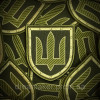 Шеврон Службы безопасности Украины койот нарукавный знак СБУ (вш-194-2)