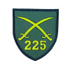 Шеврон 225 ОБТрО отдельный батальон территориальной обороны (вш-841)
