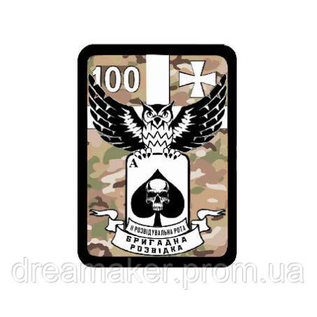 Шеврон 100 розвідувальна рота з совою та тузом (AN-18-326)