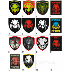 Шеврон Хищник (Predator) (AN-12-178-2). Photo 2