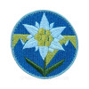 Шеврон "Едельвейс" Insignia Edelweiss WWII German Heer Mountain Troops (вш-1513)