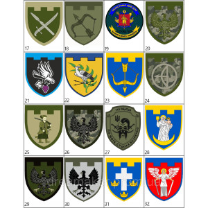 Шеврон 78 отдельная бригада ТрО Ивано-Франковск (AN-12-1686). Photo 3