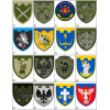 Шеврон 150 учебный центр командования сил Теробороны (вш-956)