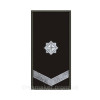 Шеврон Погон военного охранника Военизированная охрана (вш-964)