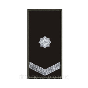 Шеврон Погон военного охранника Военизированная охрана (вш-964)