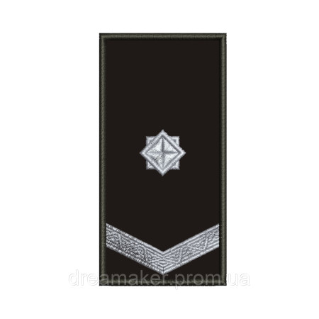 Шеврон Погон военного охранника Военизированная охрана (вш-964)