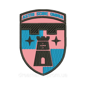 Шеврон 411 окремий батальйон безпілотних авіаційних комплексів 411 ПРО БПАК вишивка  (ВШ-986)