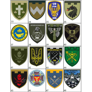 Шеврон вишитий 230 ПРО ТРО окремий батальйон територіальної оборони (ВШ-877-42). Photo 3