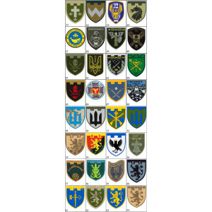 Шеврон вишитий Мінометна батарея 113-ї окремої бригади ТРО (ВШ-877-121). Photo 3