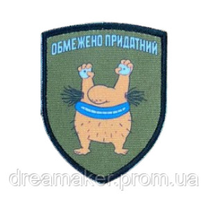 Шеврон вишитий Кіт у бинтах "Обмежено придатний" (ВШ-877-148). Photo 2