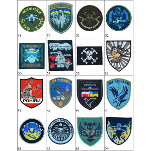 Шеврон Аэроразведка "Железные шершни (Iron hornets)"  (AN-12-231-70). Photo 3