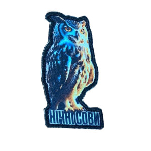 Шеврон Разведка: подразделение "Ночные совы"   (AN-12-231-98)