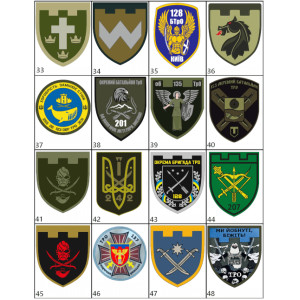 Шеврон ТРО Територіальна оборона ЗСУ (AN-12-1044-3-1-2). Photo 3