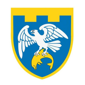 Шеврон 255 окрема бригада територіальної оборони (255 ОБТРО) (AN-12-231-168)