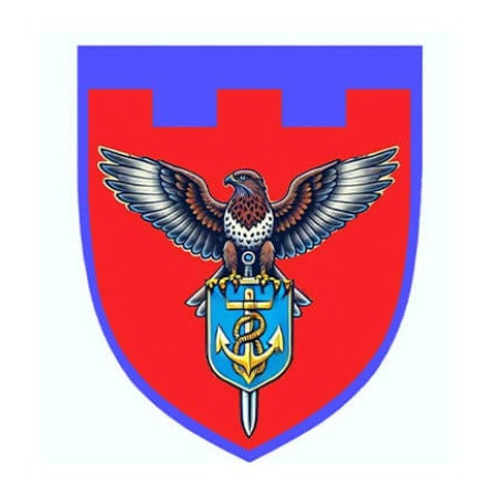 Шеврон 1 батальон 122 отдельная бригада территориальной обороны (122 ОБТО) (AN-12-231-171)