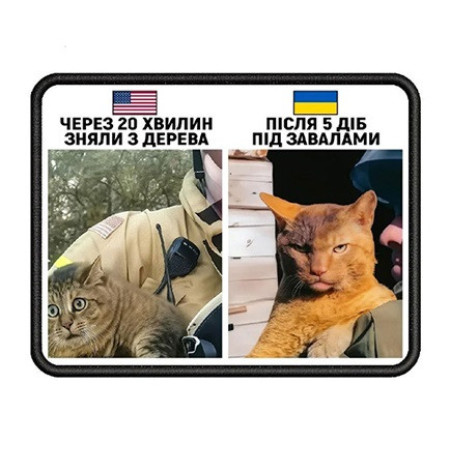 Шеврон Американский и украинский коты (AN-12-231-187)