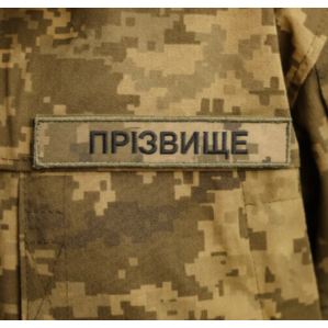 Нагрудні 