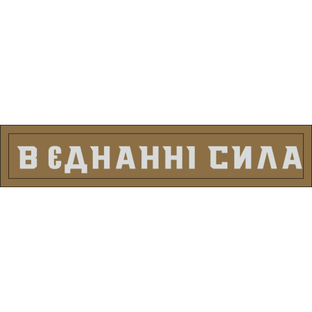 Шеврон "В єдності сила" (AN-12-1581)